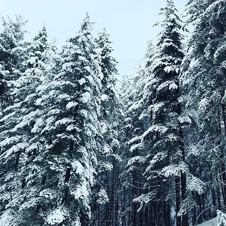 A Due Passi * Lorica