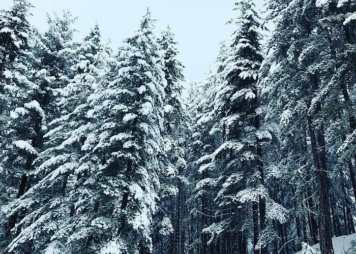 A Due Passi * לוריקה